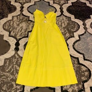 Beautiful Chartreuse Saloni Dress
